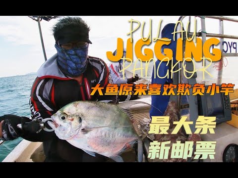 小钓竿！原来Sagai有那么鱼欺负！#pangkor #fishing #fishingtips #大魚 #钓鱼 #jigging ＃ikansagai #pkgjig