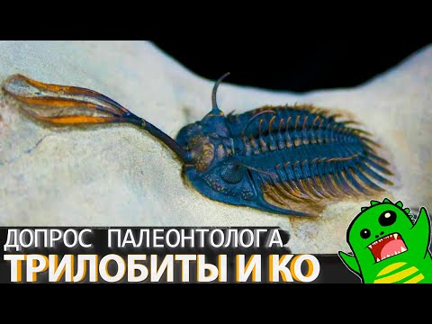 ТРИЛОБИТЫ И ИХ ДРУЗЬЯ - допрашиваем Эдуарда Мычко!