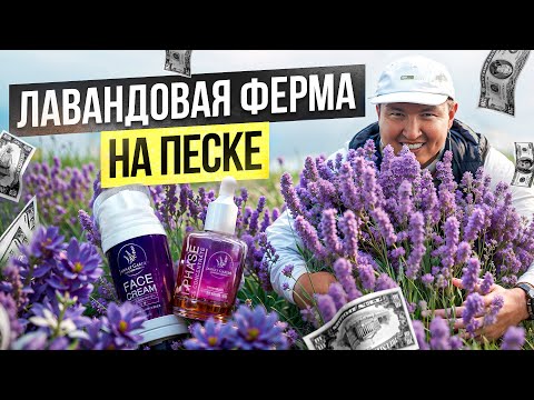 Кыргызская Косметика лучше Корейской!? – Сколько приносит Лавандовая ферма на Иссык-Куле