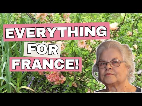 Moving to Rural France Made My American Dream Come True!
