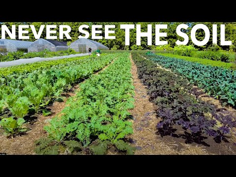 Growing Healthy Soil (and Keeping it That Way) at Frith Farm