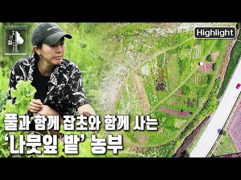 She heads to the "Leaf Field" again today, so overgrown with grass that it's hard to tell if it's...