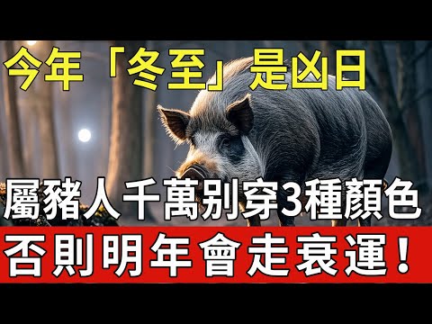 今年「冬至」是凶日！提醒屬豬人：最不能穿的3種顏色衣服，千萬不要碰，否則明年會走衰運！|福運生肖 #生肖 #運勢 #風水 #財運 #命理