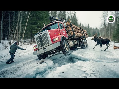 Extreme Dangerous Big Logging Wood Truck Driving Skill | Fastest Chainsaw Cutting Tree Machines #9