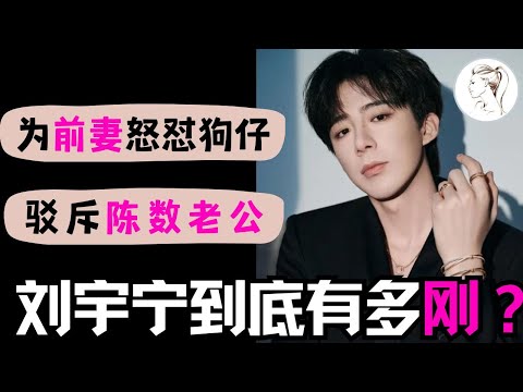 劉宇寧全開麥演唱《新鴛鴦蝴蝶夢》（消音後看看誰在裸泳）在酒吧唱8年無人理 抖音58秒走上了人生巔峰！不愧是內娛活人：駁斥趙胤胤，為前妻怒懟狗仔！2025灣區升明月