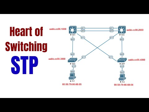 Types of STP Protocols | CST, PVST, PVST+, RSTP, MST