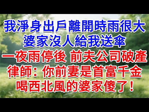 我淨身出戶離開時雨很大，婆家沒人給我送傘，一夜雨停後 前夫公司破產 ，律師：你前妻是首富千金，喝西北風的婆家婆家傻了！#為人處世#生活經驗#情感故事#故事#小說#戀愛#情感#婚姻