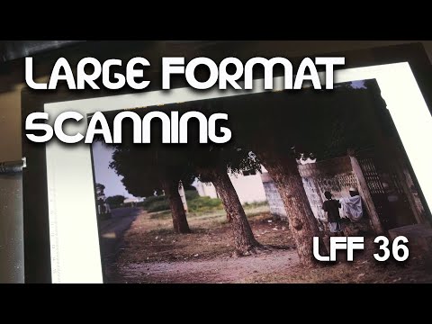 Sheet Film Scanning Considerations - Large Format Friday