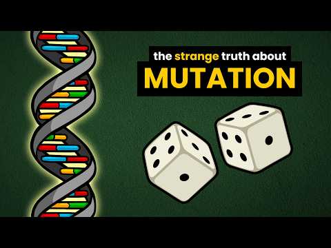 Mutation Bias: Are Mutations Truly Random?