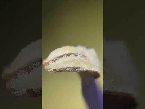 Plant Under A Microscopic Drone!