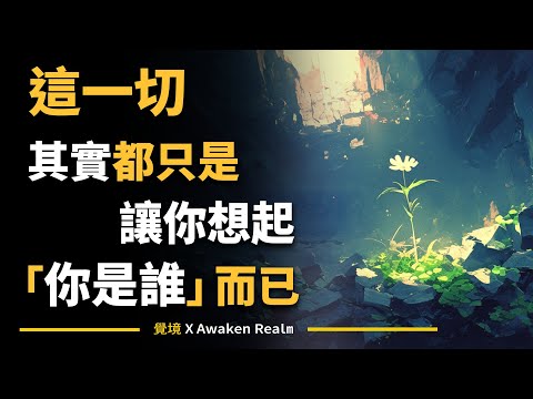 【本人對楊定一博士思想的個人心得分享】這一切，其實都只是為了讓你想起「你是誰」而已