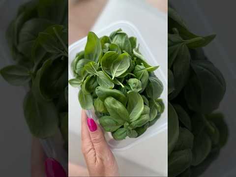 From garden to plate in Italy #mondaymoments