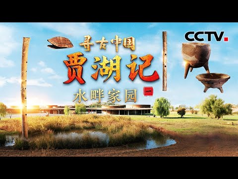 中国人对米饭有多执着？8000年前的稻谷什么样？贾湖时期的古人如何做饭？《贾湖记·水畔家园》| CCTV「寻古中国」20251211