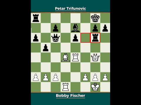 Bobby Fischer vs Petar Trifunović ◉ Bled International 1961 - Precision Over Experience
