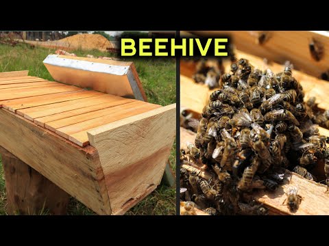 Making an Easy and Quick BEE HIVE.