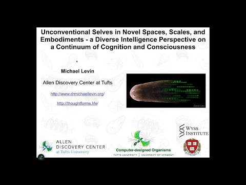 "Unconventional Selves - a diverse intelligence perspective on consciousness" by Michael Levin