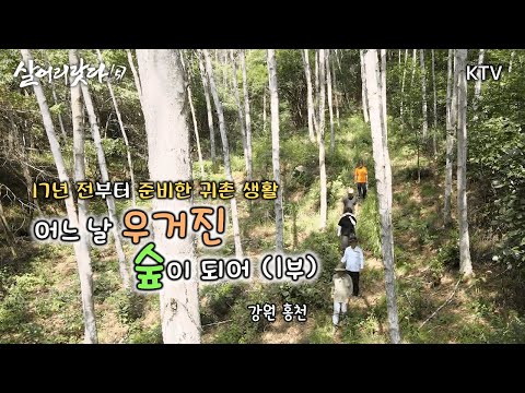 (강원 홍천) 1부 - 어느 날 우거진 숲이 되어... ktv, koreatv, mountain, chili pepper, birch, local food (시즌5)