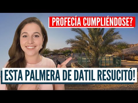 PROFECÍAS CUMPLIÉNDOSE EN ISRAEL? El milagro de la palmera de 2000 años!
