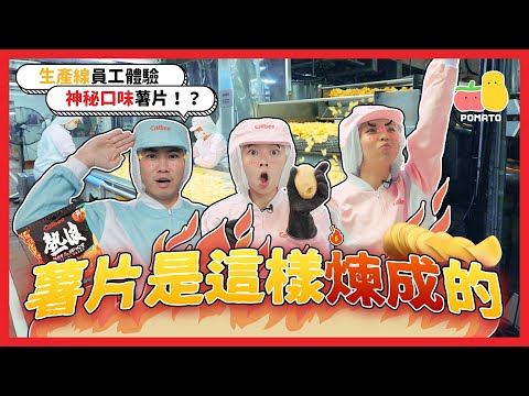 【一日生產線員工體驗👨‍🍳】薯片是這樣煉成的！？黑糖珍珠鮮奶味薯片！？😱｜Pomato 小薯茄