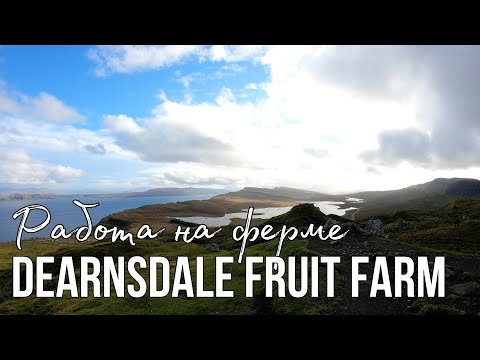 Работа в Англии на ферме Dearnsdale Fruit Farm. Какие условия? Почему перевёлся?