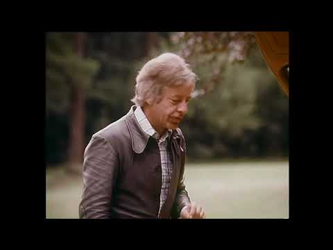 DER AUTOTEST - Ford Capri II GT von 1974