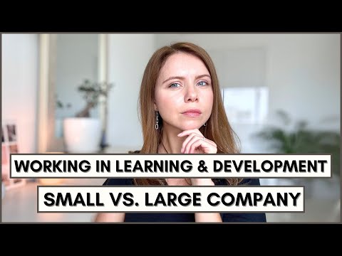 Working in Learning & Development: Small or Large  Company—What’s Best for You?