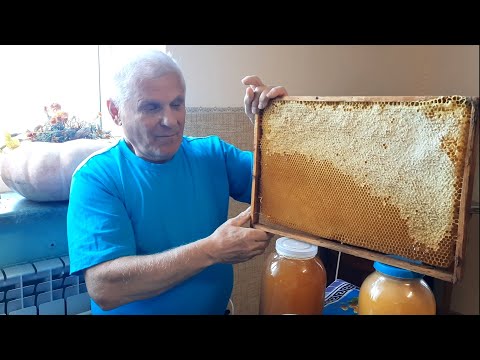 Откачка мёда. Важные нюансы