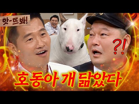 앗! 호동아 너 개 닮았다!🐶 강형욱이 찾아낸 형님들 닮은꼴ㅋㅋㅋ|아는 형님|JTBC 190824 방송