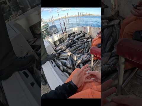 What NOT to Say to Environmental Police…