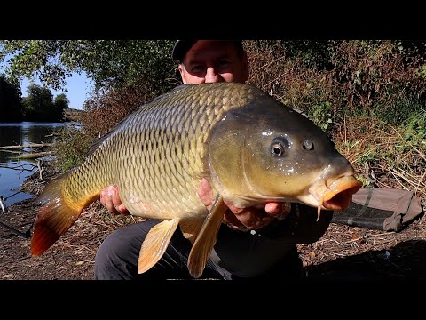 I've found the key to catching fish at the forest lake! I'm catching carp and grass carp!