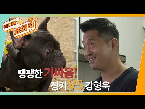 [#개는훌륭하다] 빼로를 물려고하는 정키! 강 훈련사의 조치는? 🐶 ㅣ KBS 210628 방송