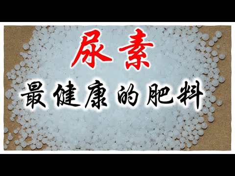 尿素，为什么是庭院种菜最好最健康的肥料？