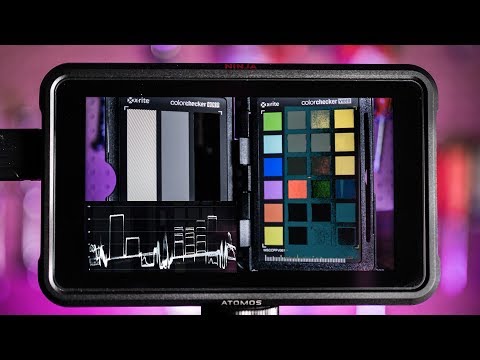 Ultimate Exposure Guide: Getting Low Noise Video with HLG & S-Log2