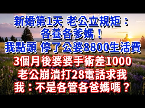 新婚第1天，老公定下規矩：各養各爹媽！我笑著點頭，當天停了公婆8800生活費。3個月後婆婆手術差1000，老公崩潰打28電話求我，我：不是各管各爸媽嗎？#小魚故事會#為人處世#人生感悟#中老年生活