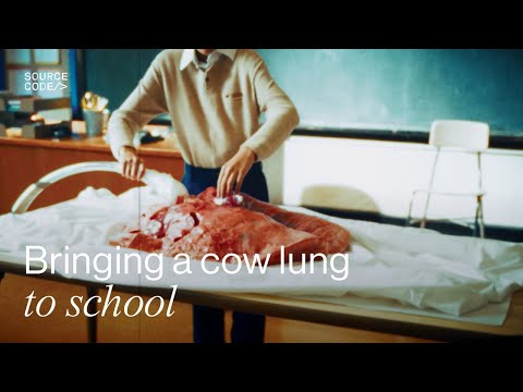The time I brought a cow lung to class | Stories from Source Code