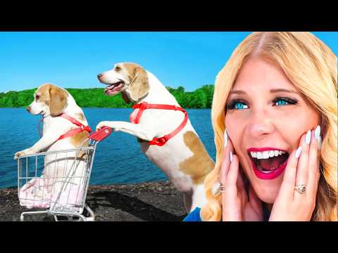 Worlds FUNNIEST Animals!