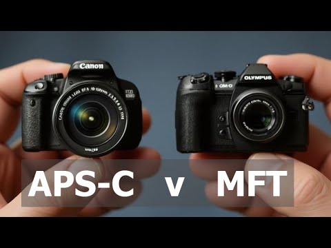 Micro Four Thirds vs APS-C: Which Wins?
