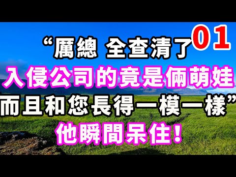 “厲總全查清了，入侵公司的竟是倆萌娃，而且和您長得一模一樣。”他瞬間呆住！#爽文#大女主#現實情感#家庭