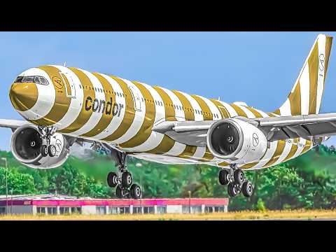 🇩🇪 300 PLANE TAKEOFFS & LANDINGS in 3 HRS, Aircraft Identification Frankfurt Airport Plane Spotting