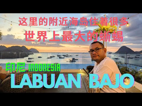 到底印尼的 Labuan Bajo 有多牛逼？连总统Jokowi都把东南亚的国家领导们请了过来！影片最后的音乐会简直是太High太Fun 了! Labuan Bajo - Azure Paradise