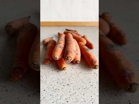 Zero food waste goal ♻️ #minidailyvlog #food #dailylifevlogs