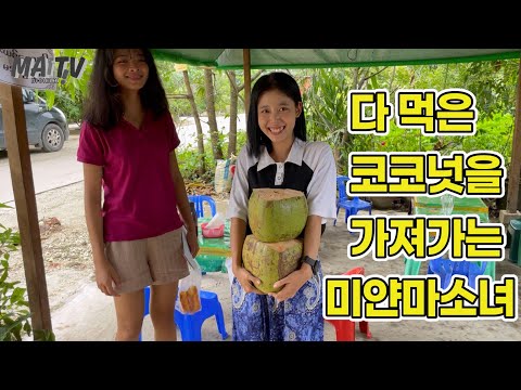 20살) 대체 코코넛 빈통을 왜 가져가는 건가요? 정말 궁금했어요