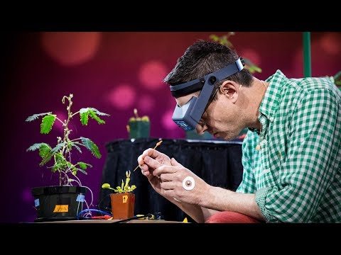 Electrical experiments with plants that count and communicate | Greg Gage