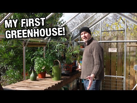 Getting started with my first ever greenhouse - SO EXCITED!! 👨🌾🌿