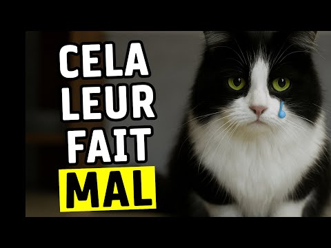 C'est nocif pour votre chat