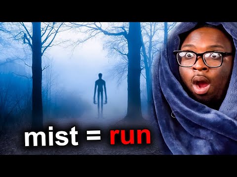 NEVER go into the Mist....