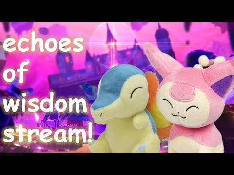 echoes of wisdom (almost) 1 year later!!!