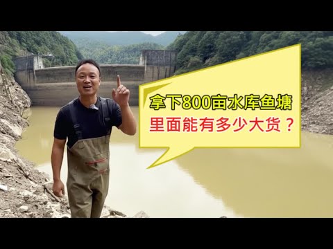 800亩水库大鱼塘，究竟能抓到多少鱼？跟着大表哥一探究竟#户外#抓鱼#捕鱼