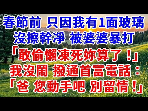 春節前 只因我有一面玻璃沒擦幹凈，被婆婆暴打，老公揪著我頭發把我拽到門外：敢偷懶凍死妳算了！我沒鬧 撥通首富電話：爸，您動手吧 別留情！#詩涵講故事#為人處世#生活經驗#情感故事#晚年哲理#說故事#完