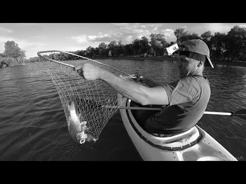 ВЫМИРАНИЕ. ЭТО РЕАЛЬНАЯ РЫБАЛКА В АСТРАХАНИ. САЗАН НА ЗАКИДУШКУ. "Сом - залом", крупный карась.